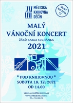 V&aacute;nočn&iacute; atmosf&eacute;ra pod knihovnou