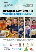 Drahokamy životů v moři každodennosti