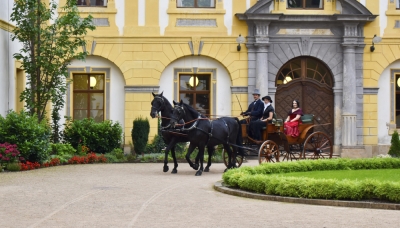 Nočn&iacute; prohl&iacute;dky na z&aacute;mku