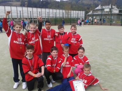 Dal&scaron;&iacute; prvn&iacute; m&iacute;sta &bdquo;Březovky&ldquo;