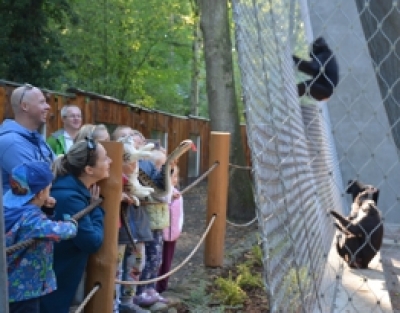 Poh&aacute;dkov&yacute; čtvrtek a večern&iacute; prohl&iacute;dka v zoologick&eacute; zahradě se bl&iacute;ž&iacute;