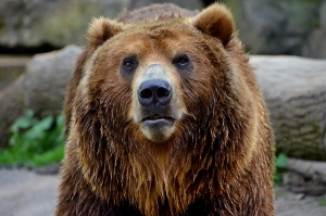 Den dět&iacute; v Zoo Děč&iacute;n