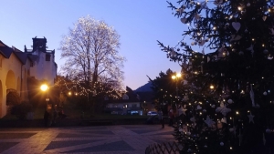 Dva adventn&iacute; v&iacute;kendy jsou za n&aacute;mi, co n&aacute;s je&scaron;tě do V&aacute;noc ček&aacute;?