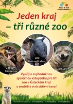 V&yacute;hodně do tř&iacute; severočesk&yacute;ch zoo můžete i letos