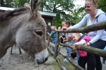 Mezin&aacute;rodn&iacute; den žen v zoo