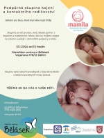 Podpůrn&aacute; skupina kojen&iacute; a kontaktn&iacute;ho rodičovstv&iacute;