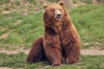 Zoo Děč&iacute;n: Bruno je tu!