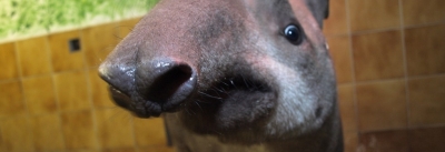 Noc v zoologick&eacute; zahradě