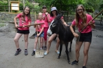 V zoo začal př&iacute;městsk&yacute; t&aacute;bor, děti si hraj&iacute; na o&scaron;etřovatele i veterin&aacute;ře
