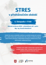 Stres v předv&aacute;nočn&iacute;m obdob&iacute;