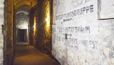 Prohl&iacute;dky z&aacute;meck&eacute;ho sklepen&iacute;