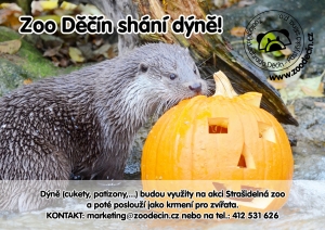 Děč&iacute;nsk&aacute; zoo sh&aacute;n&iacute; d&yacute;ně