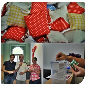 Veřejn&aacute; sb&iacute;rka pro Domino