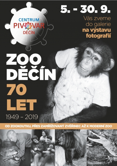 Zoo si ke sv&yacute;m 70. narozenin&aacute;m nadělila v&yacute;stavu v Pivovaru