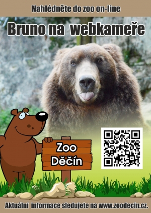 Koronavirov&aacute; krize se citelně dot&yacute;k&aacute; i zoologick&eacute; zahrady. Jak můžete pomoci?