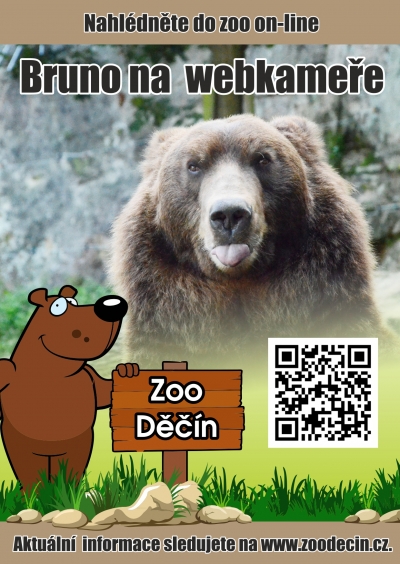 Koronavirov&aacute; krize se citelně dot&yacute;k&aacute; i zoologick&eacute; zahrady. Jak můžete pomoci?