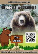 Koronavirov&aacute; krize se citelně dot&yacute;k&aacute; i zoologick&eacute; zahrady. Jak můžete pomoci?