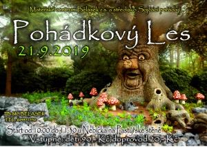 Poh&aacute;dkov&yacute; les