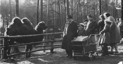 Zoo Děč&iacute;n bude v př&iacute;&scaron;t&iacute;m roce slavit, hled&aacute; pamětn&iacute;ky