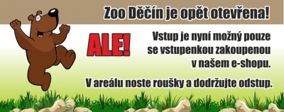N&aacute;v&scaron;těvn&iacute;ci stahuj&iacute; koronavirovou ztr&aacute;tu zoo n&aacute;kupem v e-shopu nebo poř&iacute;zen&iacute;m adopce