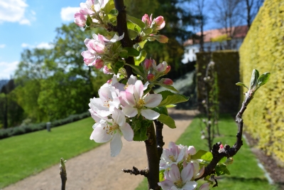 Odemyk&aacute;n&iacute; z&aacute;meck&yacute;ch zahrad