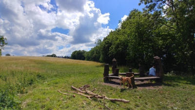 Turistick&eacute; stezky jsou i přes z&aacute;kaz vstupu do lesů př&iacute;stupn&eacute;