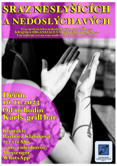 Sraz nesly&scaron;&iacute;c&iacute;ch a nedosl&yacute;chav&yacute;ch