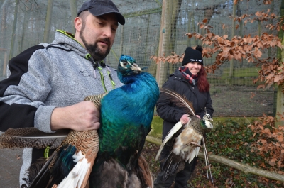 Zoo zavedla preventivn&iacute; opatřen&iacute; kvůli ptač&iacute; chřipce