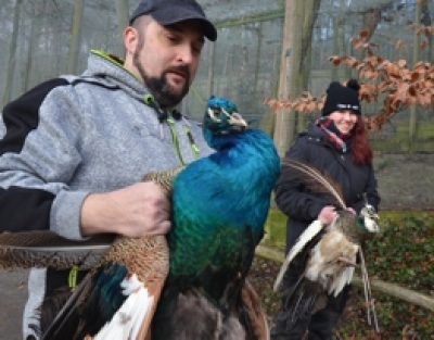 Zoo vyhla&scaron;uje kreativn&iacute; soutěž