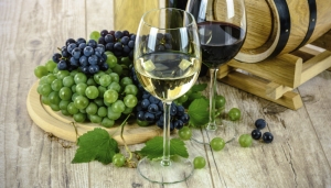 Slavnosti v&iacute;na na z&aacute;mku