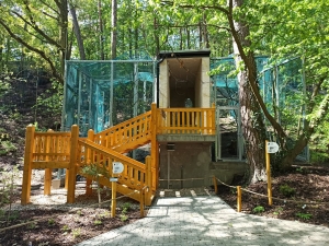 Do sov&iacute; jeskyně se nastěhovali prvn&iacute; &bdquo;n&aacute;jemn&iacute;ci&ldquo;